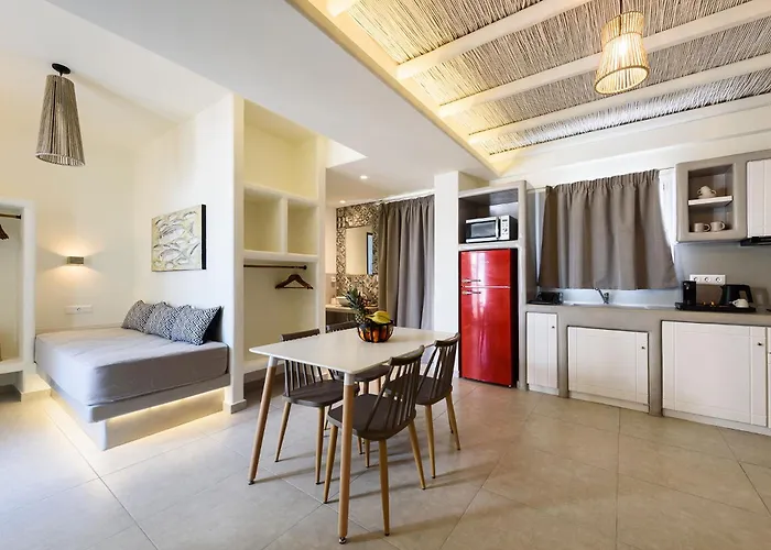 Vammos Luxury Residences Apartment Naoussa