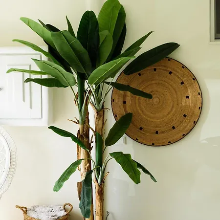 Vammos Luxury Residences Appartement *