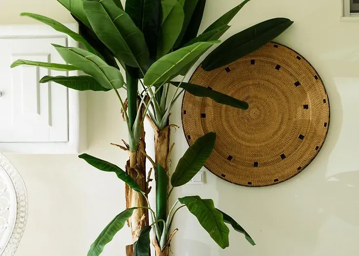 Vammos Luxury Residences Appartement *